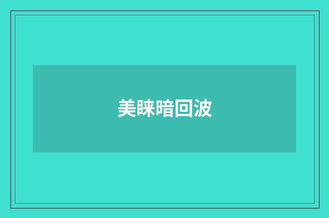 美睐暗回波