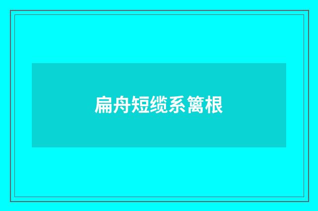 扁舟短缆系篱根