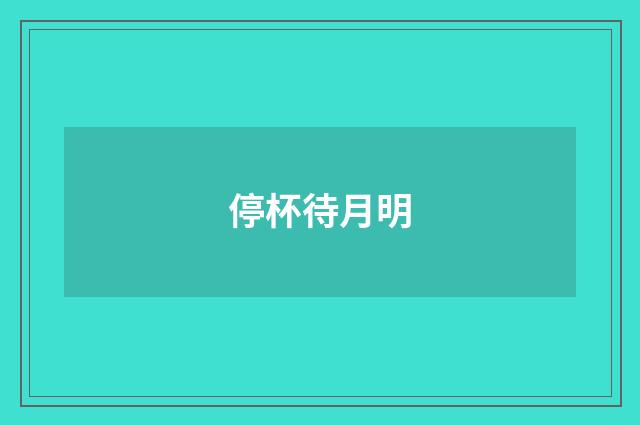 停杯待月明