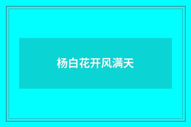 杨白花开风满天