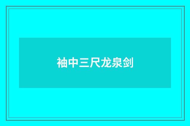 袖中三尺龙泉剑