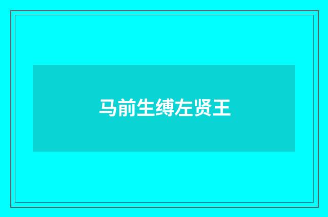 马前生缚左贤王