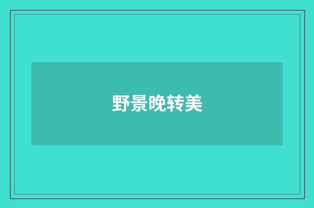 野景晚转美