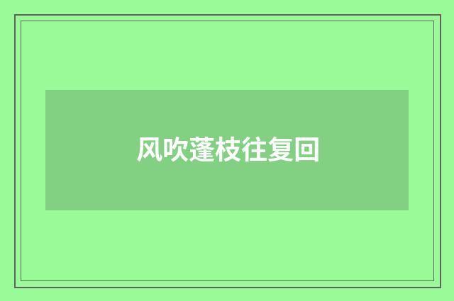 风吹蓬枝往复回