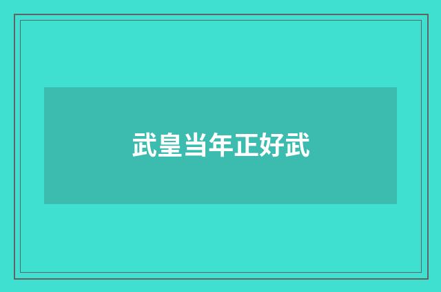 武皇当年正好武