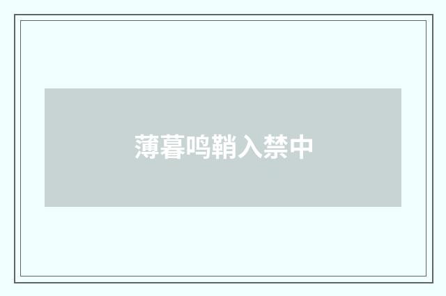 薄暮鸣鞘入禁中
