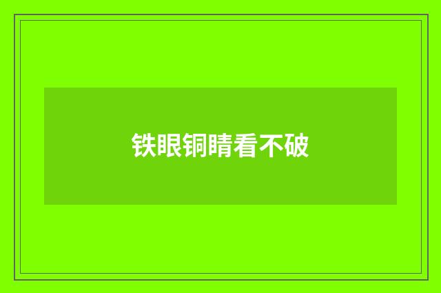 铁眼铜睛看不破