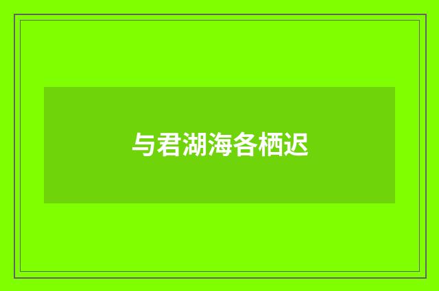 与君湖海各栖迟