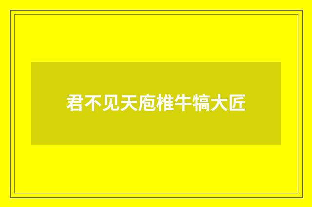 君不见天庖椎牛犒大匠