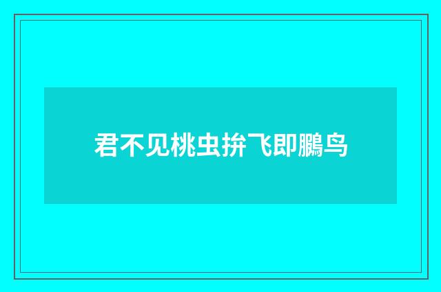 君不见桃虫拚飞即鵩鸟