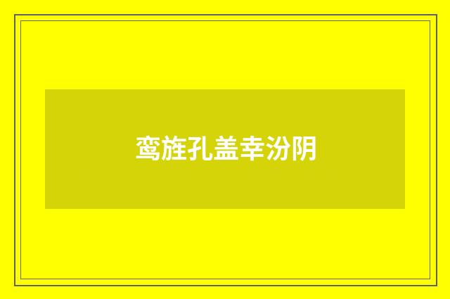 鸾旌孔盖幸汾阴