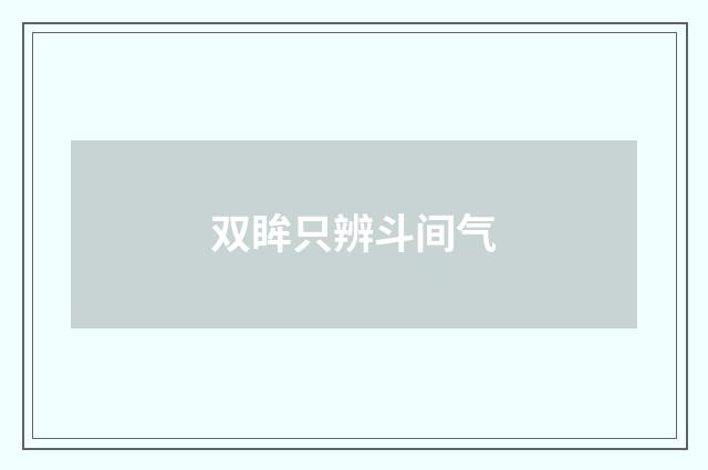 双眸只辨斗间气