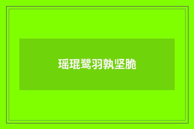 瑶琨鹭羽孰坚脆