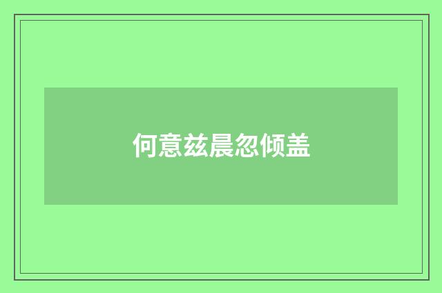 何意兹晨忽倾盖