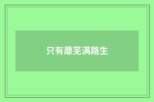 只有蘼芜满路生