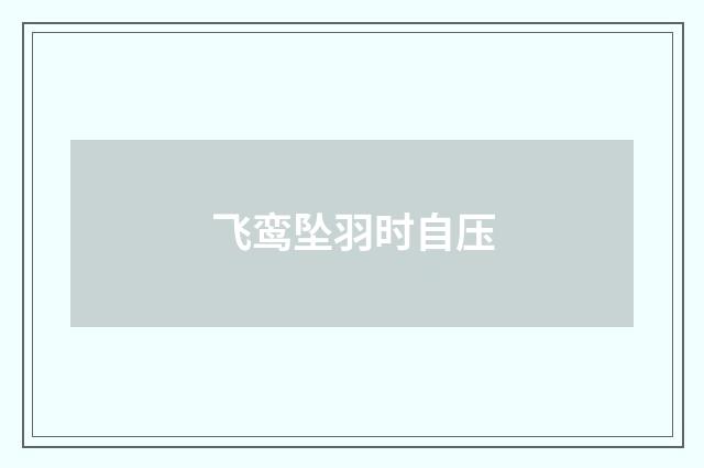 飞鸾坠羽时自压