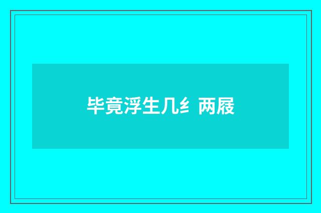 毕竟浮生几纟两屐