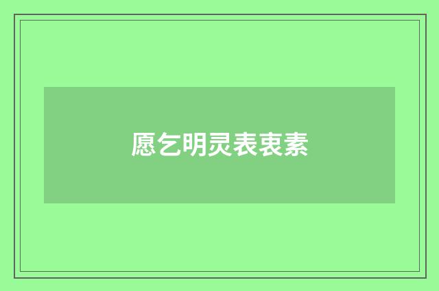愿乞明灵表衷素