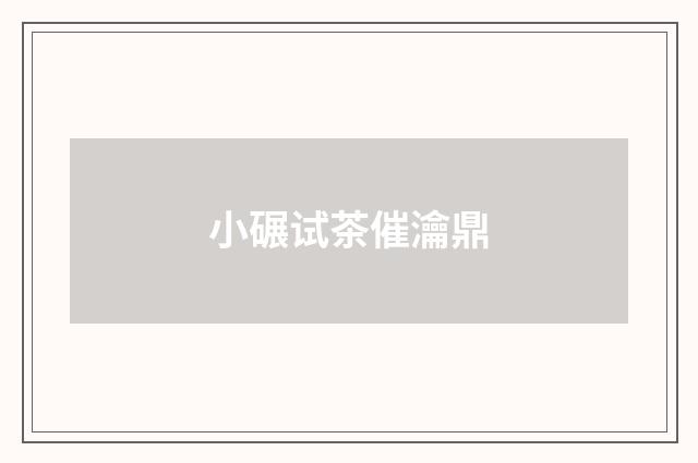 小碾试茶催瀹鼎
