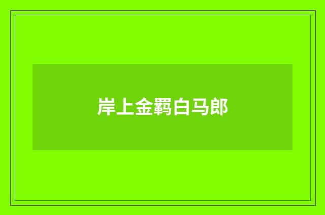 岸上金羁白马郎