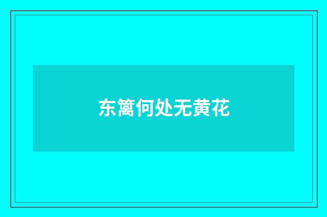 东篱何处无黄花