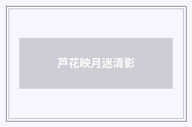 芦花映月迷清影