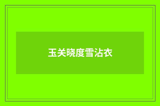 玉关晓度雪沾衣