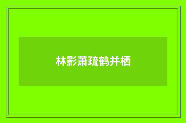 林影萧疏鹤并栖