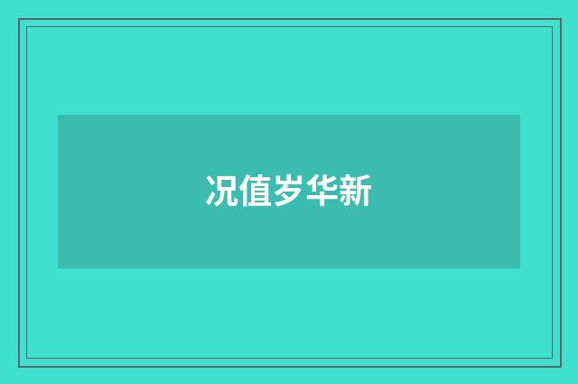 况值岁华新