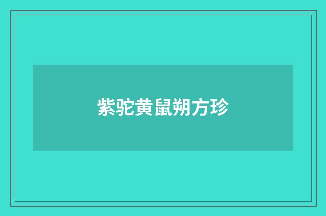 紫驼黄鼠朔方珍