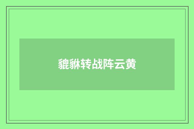 貔貅转战阵云黄