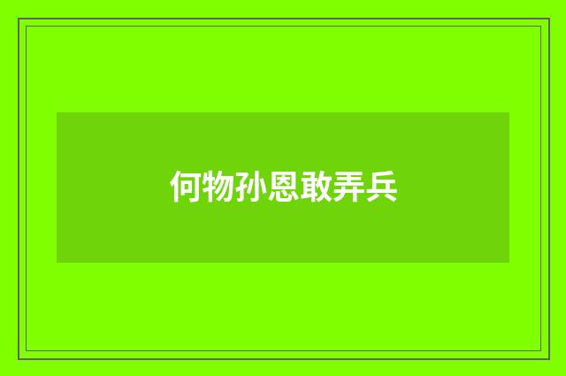何物孙恩敢弄兵