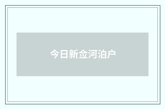 今日新佥河泊户