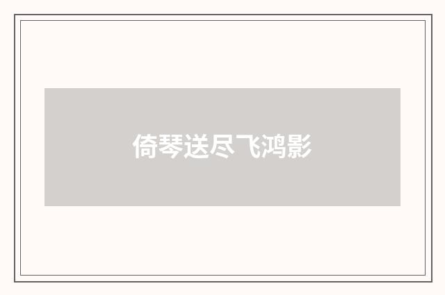 倚琴送尽飞鸿影