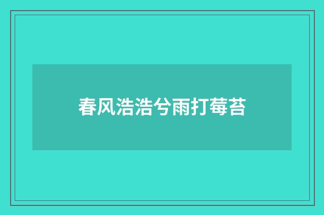 春风浩浩兮雨打莓苔