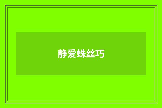 静爱蛛丝巧