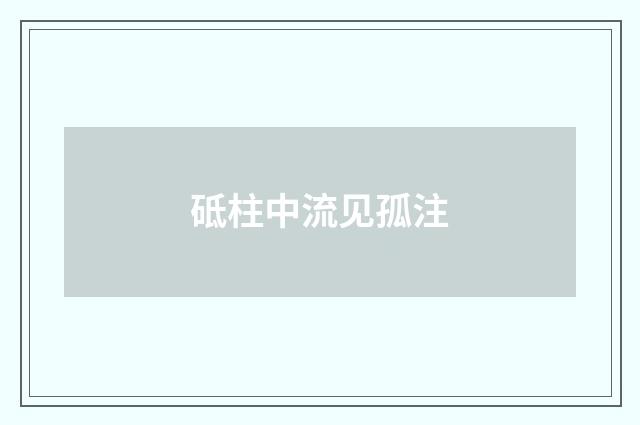 砥柱中流见孤注