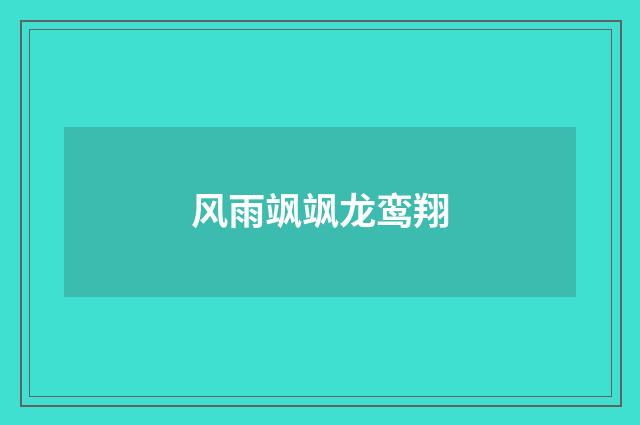风雨飒飒龙鸾翔