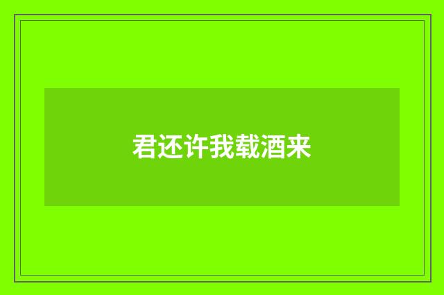 君还许我载酒来