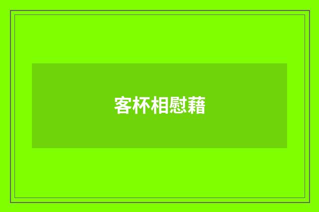 客杯相慰藉