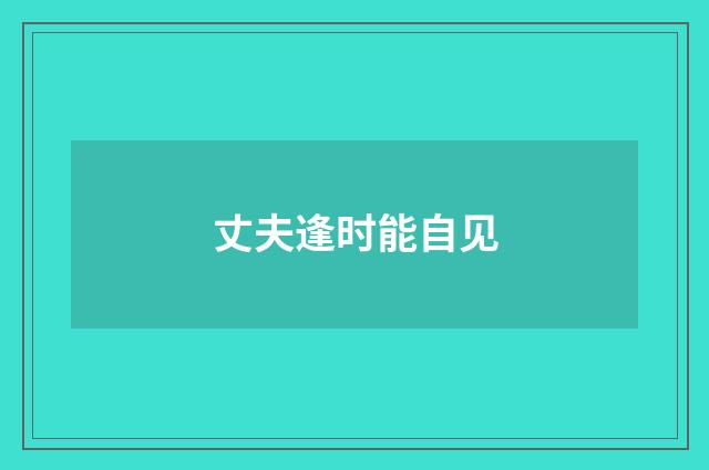 丈夫逢时能自见