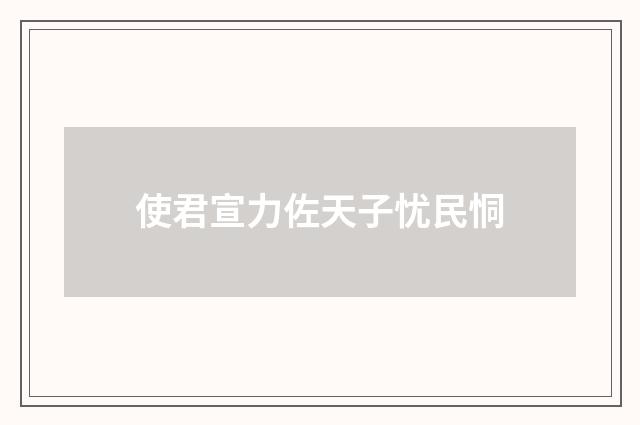 使君宣力佐天子忧民恫