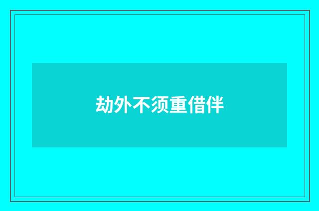 劫外不须重借伴
