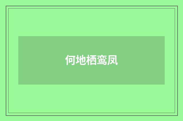 何地栖鸾凤