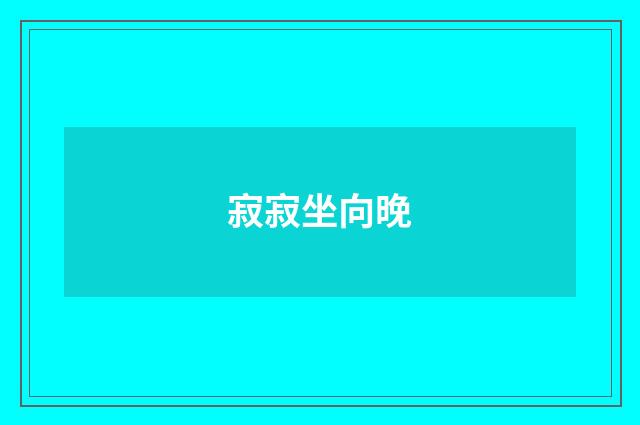寂寂坐向晚