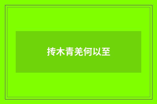 抟木青羌何以至