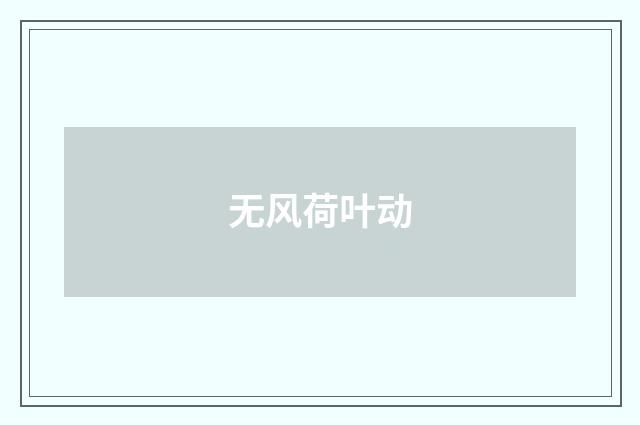 无风荷叶动