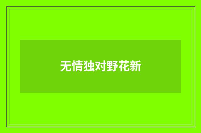 无情独对野花新