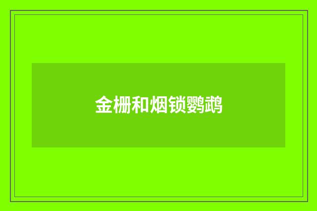 金栅和烟锁鹦鹉