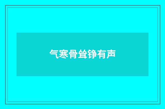 气寒骨耸铮有声